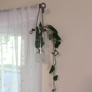 Hanging plant propagation decor